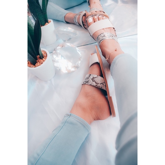 SUNNY DAZE - SNAKE - Picture 2 of 2